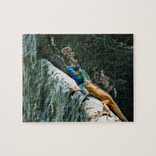 Puzzle énigmes animales