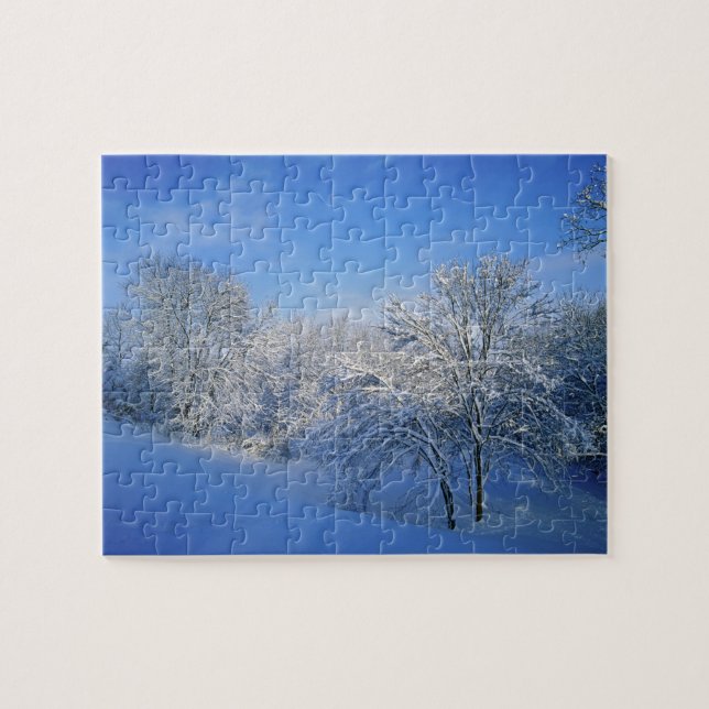 Puzzle Enneigement record à Louisville, Kentucky. (Horizontal)