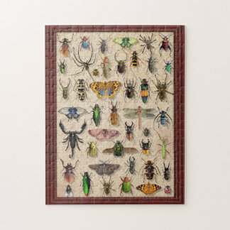 Puzzle Entomologie amusante de la collection de bogues