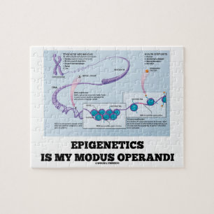 Puzzle Epigenetics est mon mode de fonctionnement (les