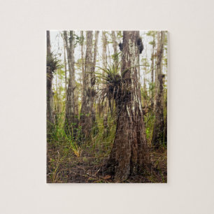 Puzzle Epiphyte Bromeliad dans la forêt de la Floride