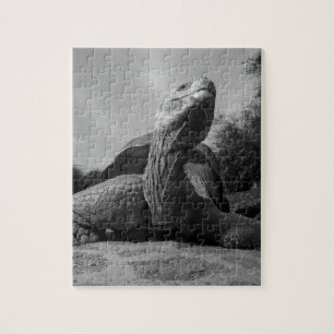 Puzzle Equateur, Parc national des Îles Galapagos, Père N