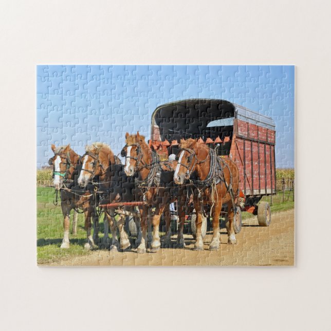 Puzzle Équipe amish de quatre (Horizontal)