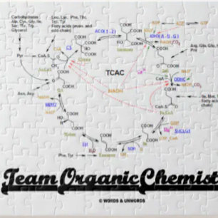 Puzzle Équipe de chimie organique (cycle Krebs TCAC)