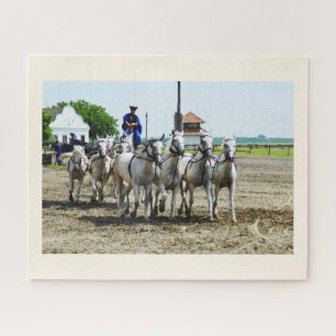 Puzzle Équitation hongroise