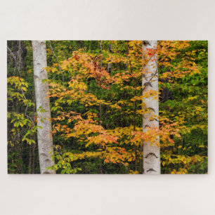 Puzzle Érable et bouleau   White Mountains, NH