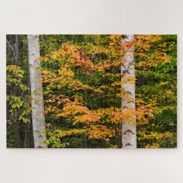Puzzle Érable et bouleau | White Mountains, NH (Horizontal)