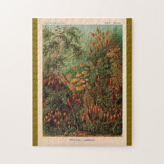 Puzzle Ernst Haeckel Muscinae illustration vintage (Vertical)