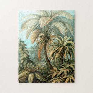 Puzzle Ernst Haeckel's Filicinae (Arbres Fermes) Jigsaw P