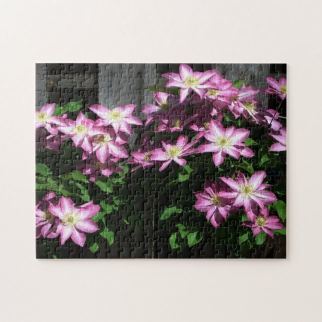 Puzzle Escalade Clematis Fleurs de printemps violettes (Horizontal)