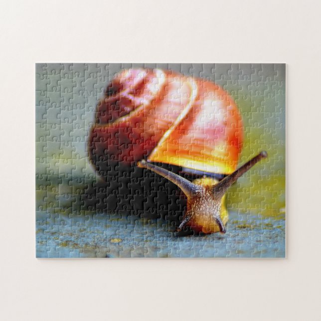 Puzzle Escargot (Horizontal)