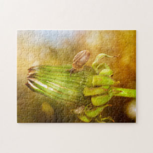 Puzzle Escargot en migration ...