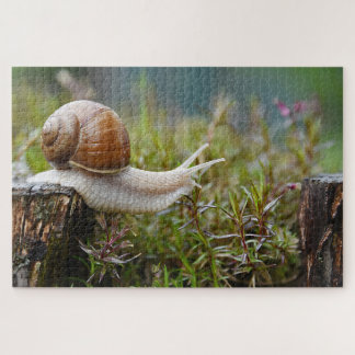 Puzzle Escargot Parmi Le Romarin