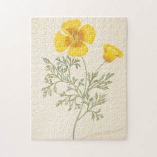 Puzzle Eschscholtzia californien