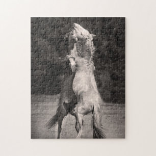 Puzzle Étalons de danse