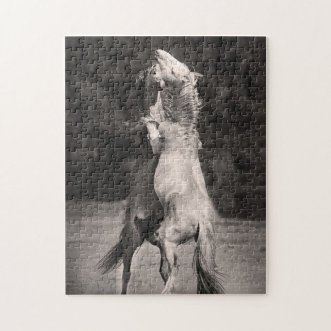 Puzzle Étalons de danse (Vertical)