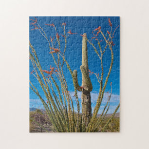 Puzzle États-Unis, Arizona. Cactus dans le parc national 