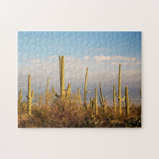 Puzzle États-Unis, Arizona, Saguaro National Park, Saguar (Horizontal)