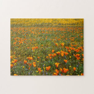 Puzzle États-Unis, Californie, Antelope Valley, Californi