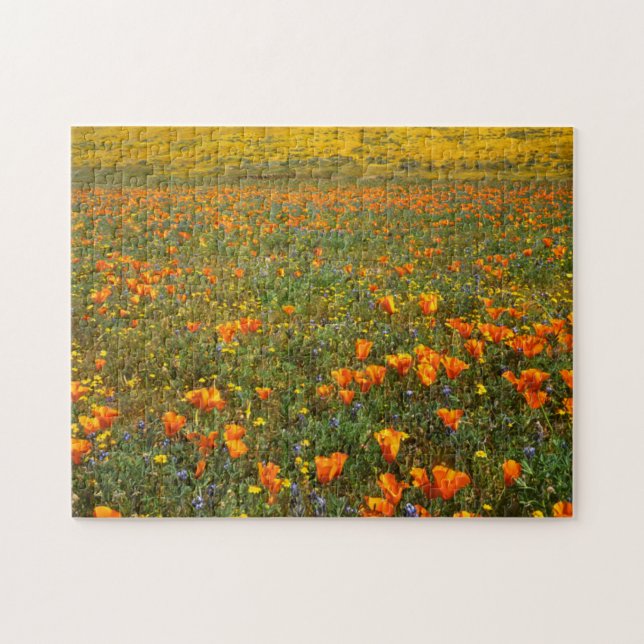 Puzzle États-Unis, Californie, Antelope Valley, Californi (Horizontal)