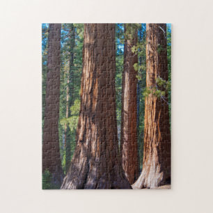 Puzzle États-Unis, Californie. Troncs de séquoia, Maripos