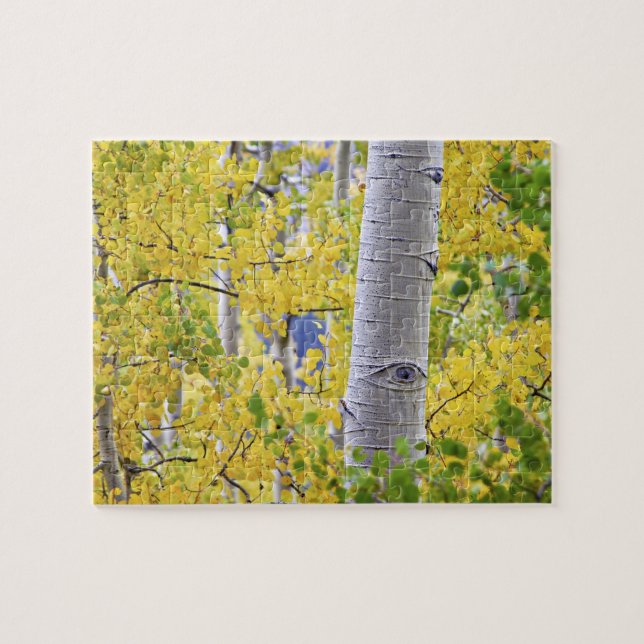 Puzzle États-Unis, Colorado, montagnes Rocheuses.  Aspect (Horizontal)