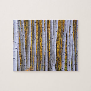 Puzzle États-Unis, Colorado, montagnes Rocheuses. Scène