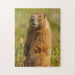 Puzzle États-Unis, Colorado, Monts San Juan