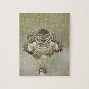 Puzzle États-Unis, Floride, Cape Coral, Gros plan de l'ex