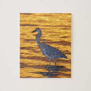 Puzzle États-Unis, Floride, Saint-Pétersbourg, Fort De So