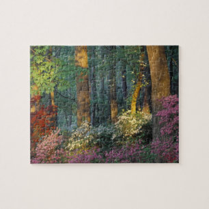 Puzzle États-Unis, Géorgie, Callaway Gardens, forêt d'Aza