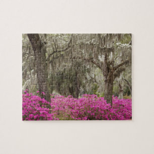Puzzle Etats-Unis, Géorgie, Savannah, Printemps de l'his
