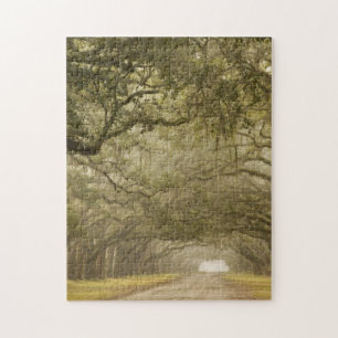 Puzzle États-Unis, Géorgie, Savannah, Une route bordée