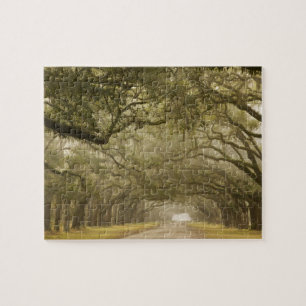 Puzzle États-Unis, Géorgie, Savannah, Une route bordée