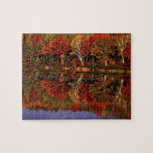 Puzzle États-Unis, Michigan, Upper Peninsula. Automne