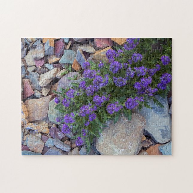 Puzzle États-Unis, Montana, Glacier National Park (Horizontal)