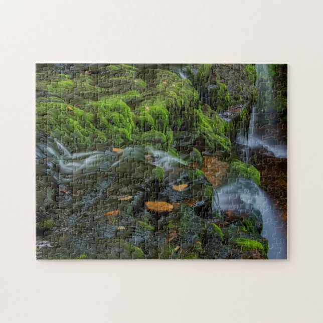 Puzzle États-Unis, Pennsylvanie, Benton, Ricketts Glen St (Horizontal)