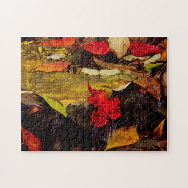 Puzzle États-Unis, Pennsylvanie, Pocono Mountains 1 (Horizontal)