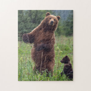 Puzzle États-Unis, sud-est de l'Alaska, ours brun et ours