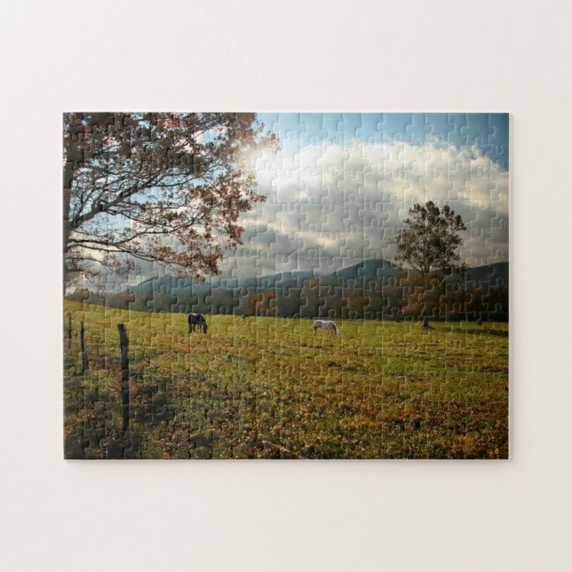 Puzzle États-Unis, Tennessee. Cheval Dans La Vallée De Ca (Horizontal)
