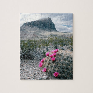 Puzzle États-Unis, Texas, Big Bend National Park.Flambée