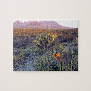 Puzzle États-Unis, Texas, Big Bend NP. Un crépuscule rose