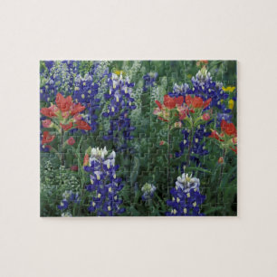 Puzzle États-Unis, Texas Hill Country. Bluebonnets et