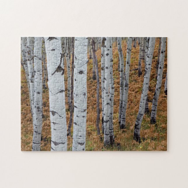 Puzzle États-Unis, Utah, Forêt nationale d'Uinta-Wasatch- (Horizontal)