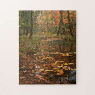 Puzzle États-Unis, Virginie, Automne Dans Le Douthat Sta