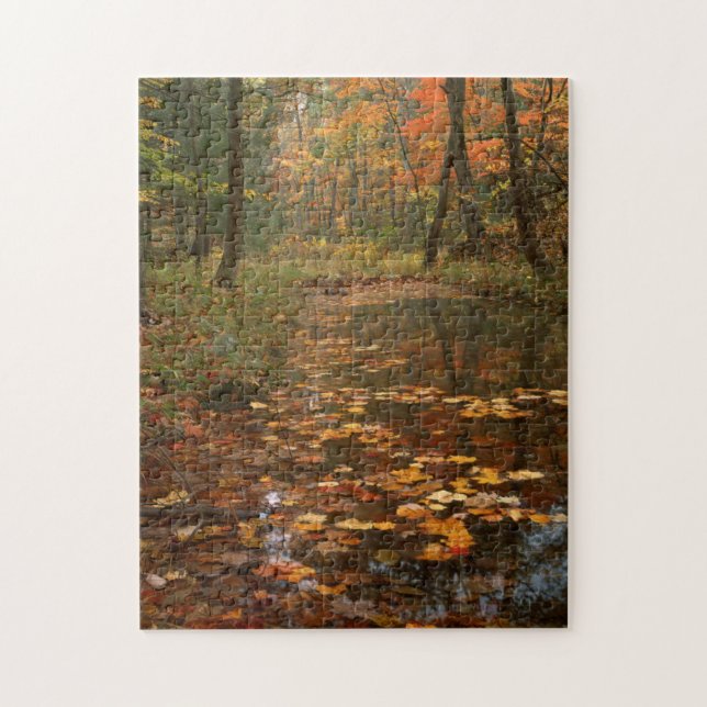 Puzzle États-Unis, Virginie, Automne Dans Le Douthat Stat (Vertical)