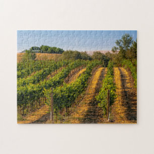 Puzzle États-Unis, Washington oriental, Vignobles de Wal
