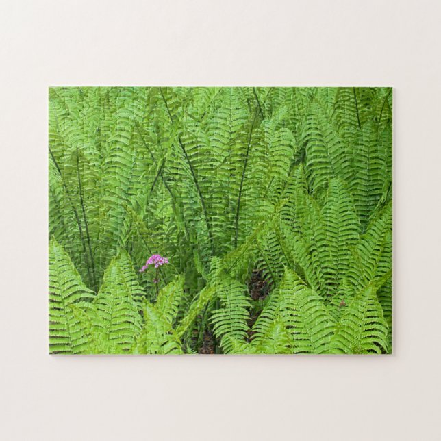 Puzzle États-Unis, Washington, Seattle, Washington Park (Horizontal)