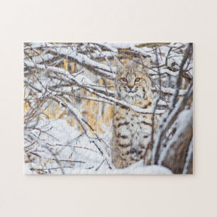 Puzzle États-Unis, Wyoming, Bobcat