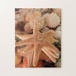 Puzzle Étoiles de mer séchées vendues comme souvenirs